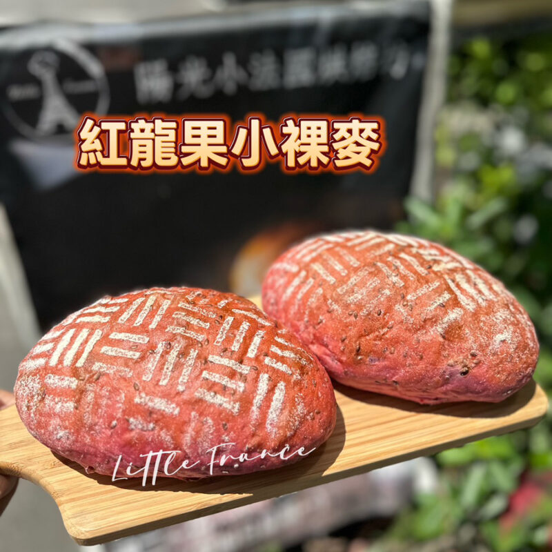 紅龍果小裸麥